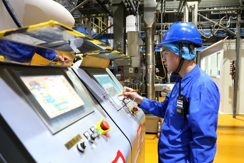 小萌寵激活億元新賽道 山東寵物產業發展一線見聞